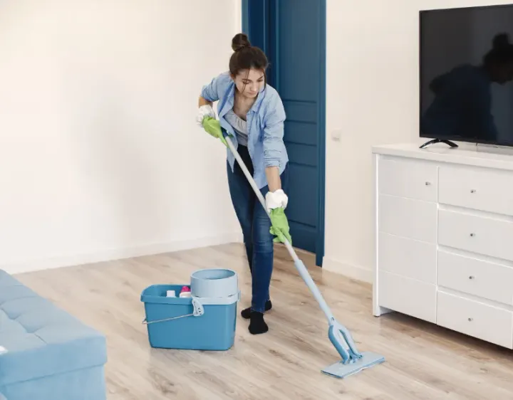 Femme de ménage Labourse